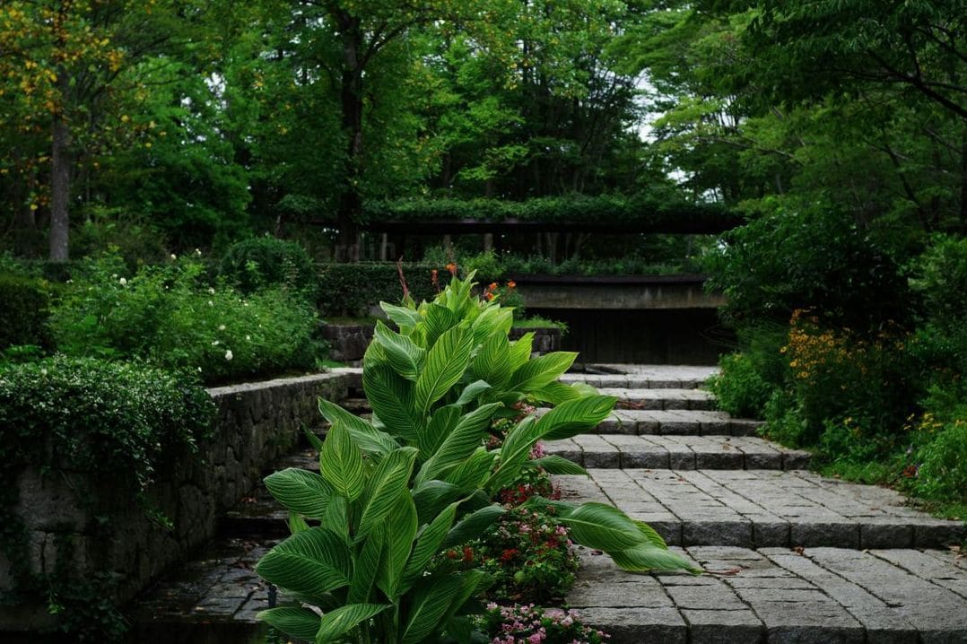 Préparer son jardin pour le printemps : les gestes essentiels