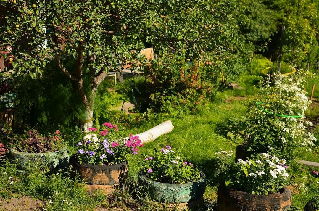 Lys Vert Jardin 7